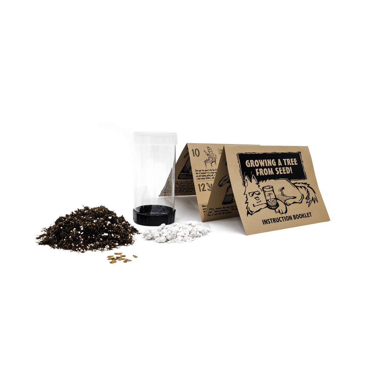 Palm Tree Seed Grow Kit