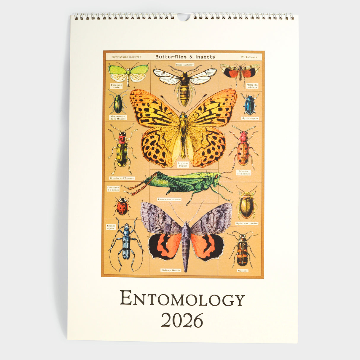 2026 Entomology Wall Calendar