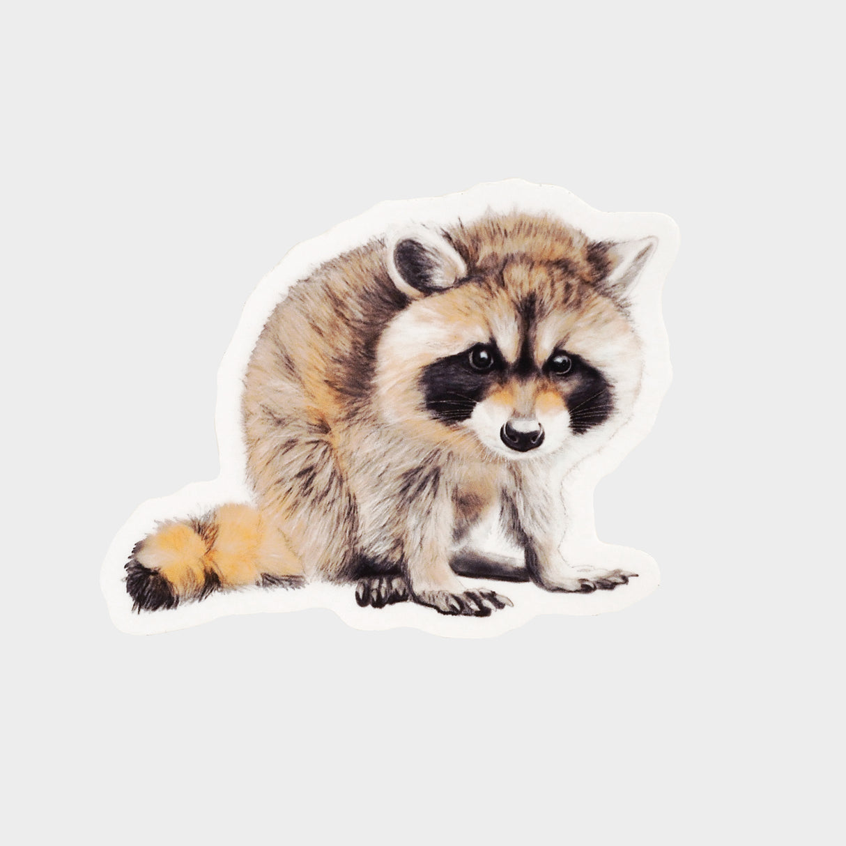 Baby Raccoon Vinyl Sticker