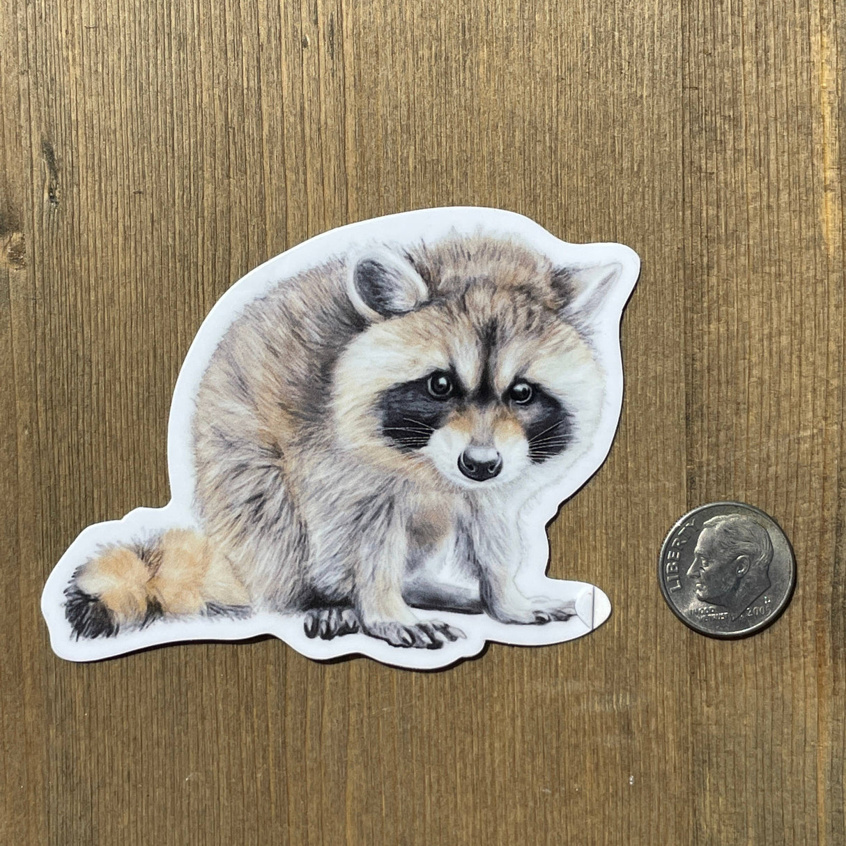 Baby Raccoon Vinyl Sticker