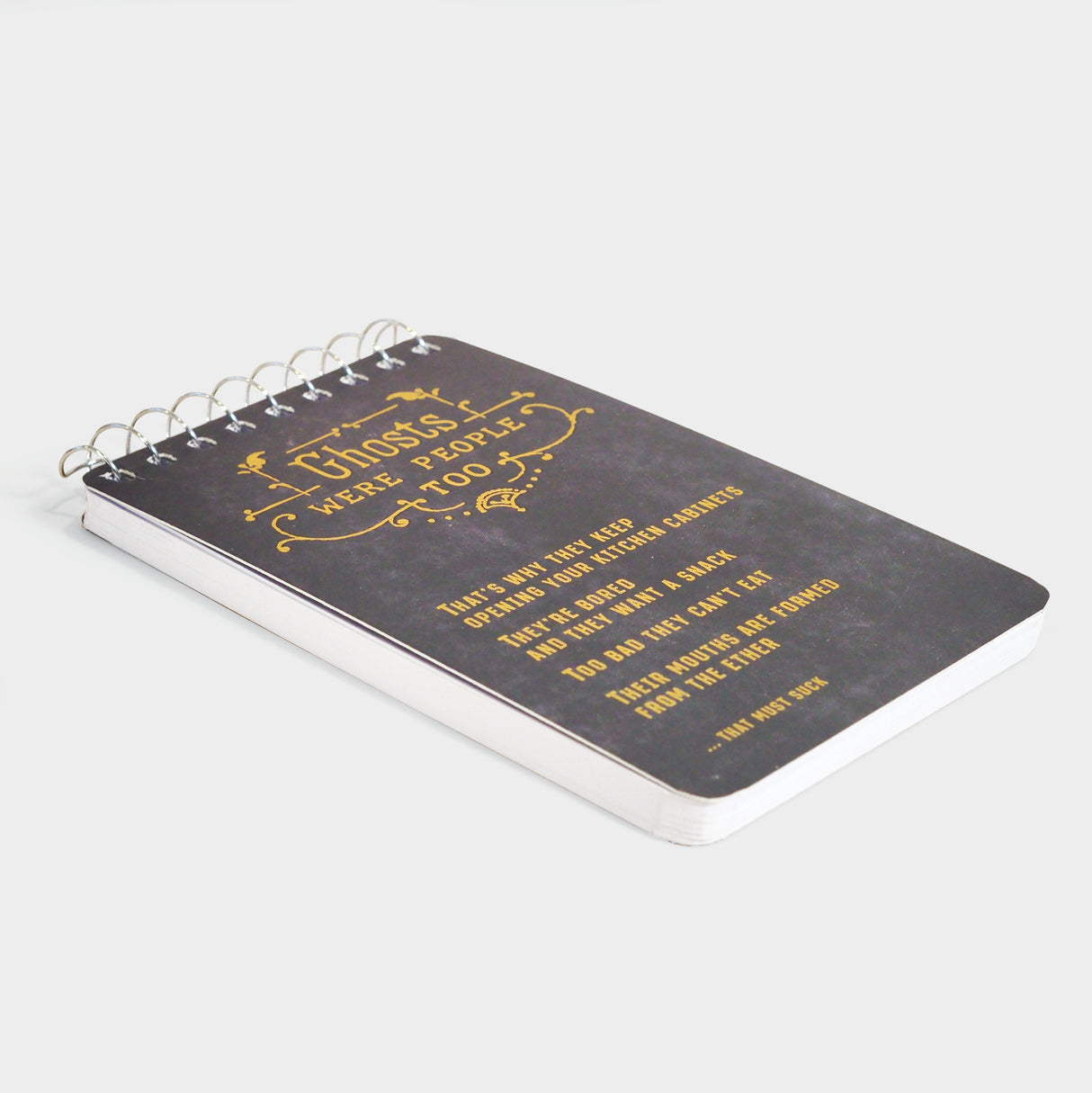 Ghosts Were People 3x5 Spiral Notebook