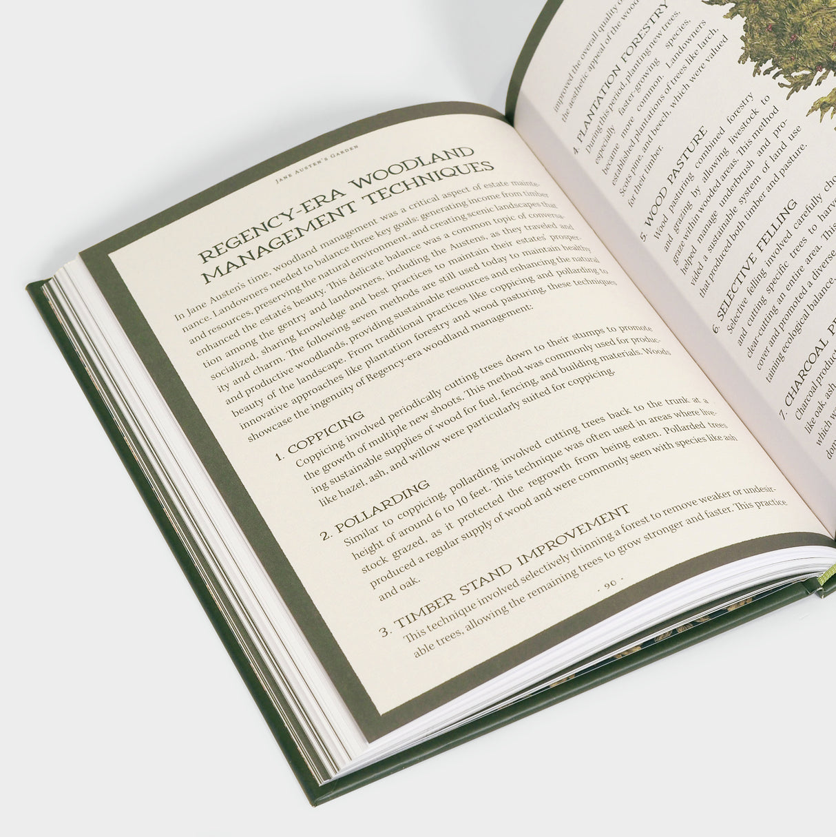 Jane Austen's Garden