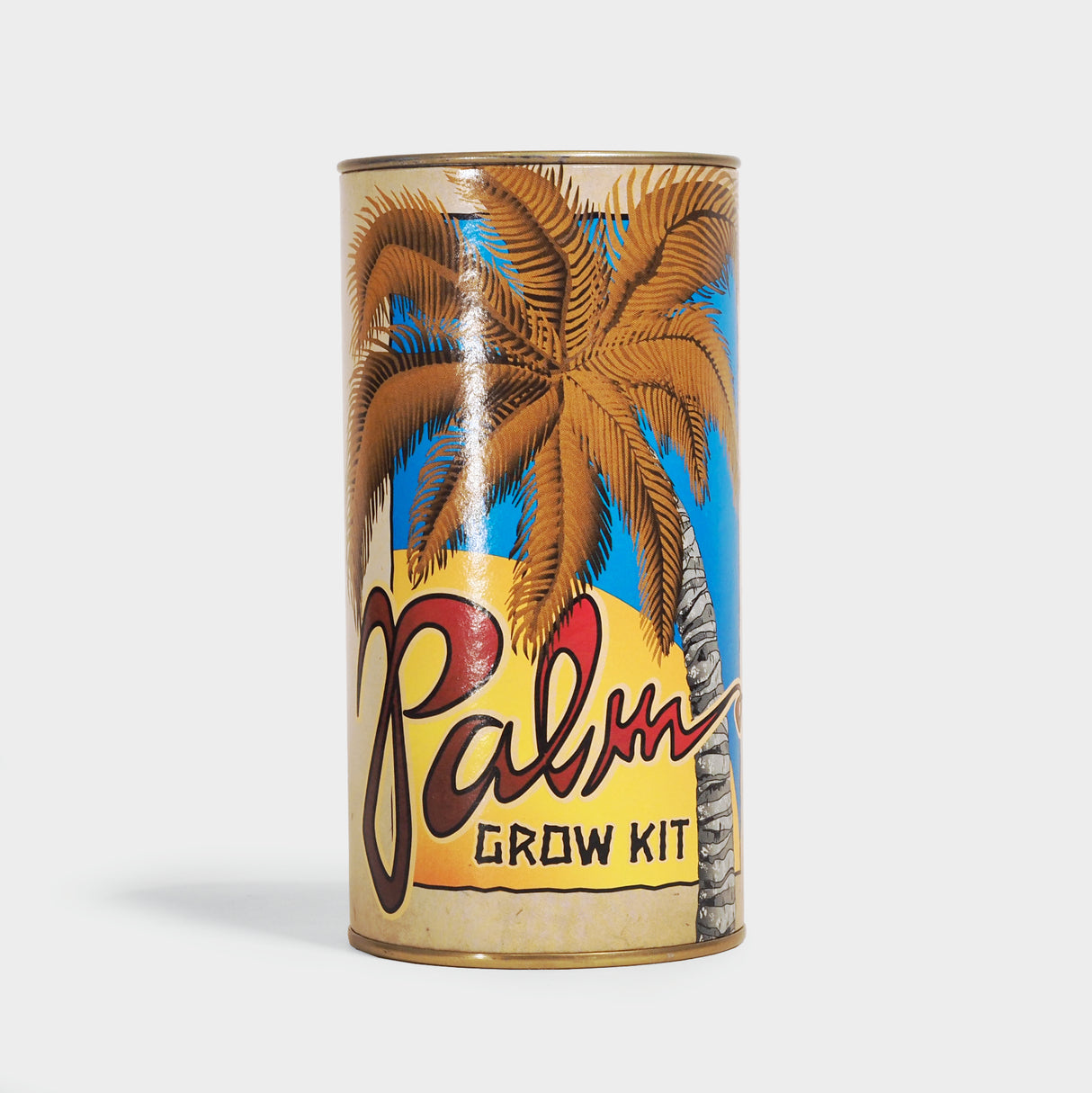 Palm Tree Seed Grow Kit