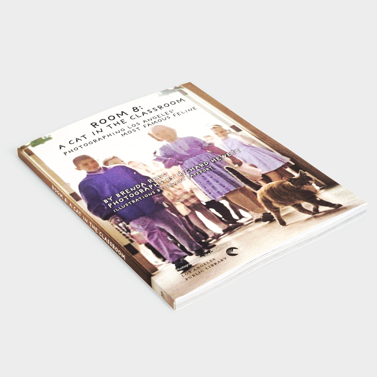 Room 8: A Cat in the Classroom