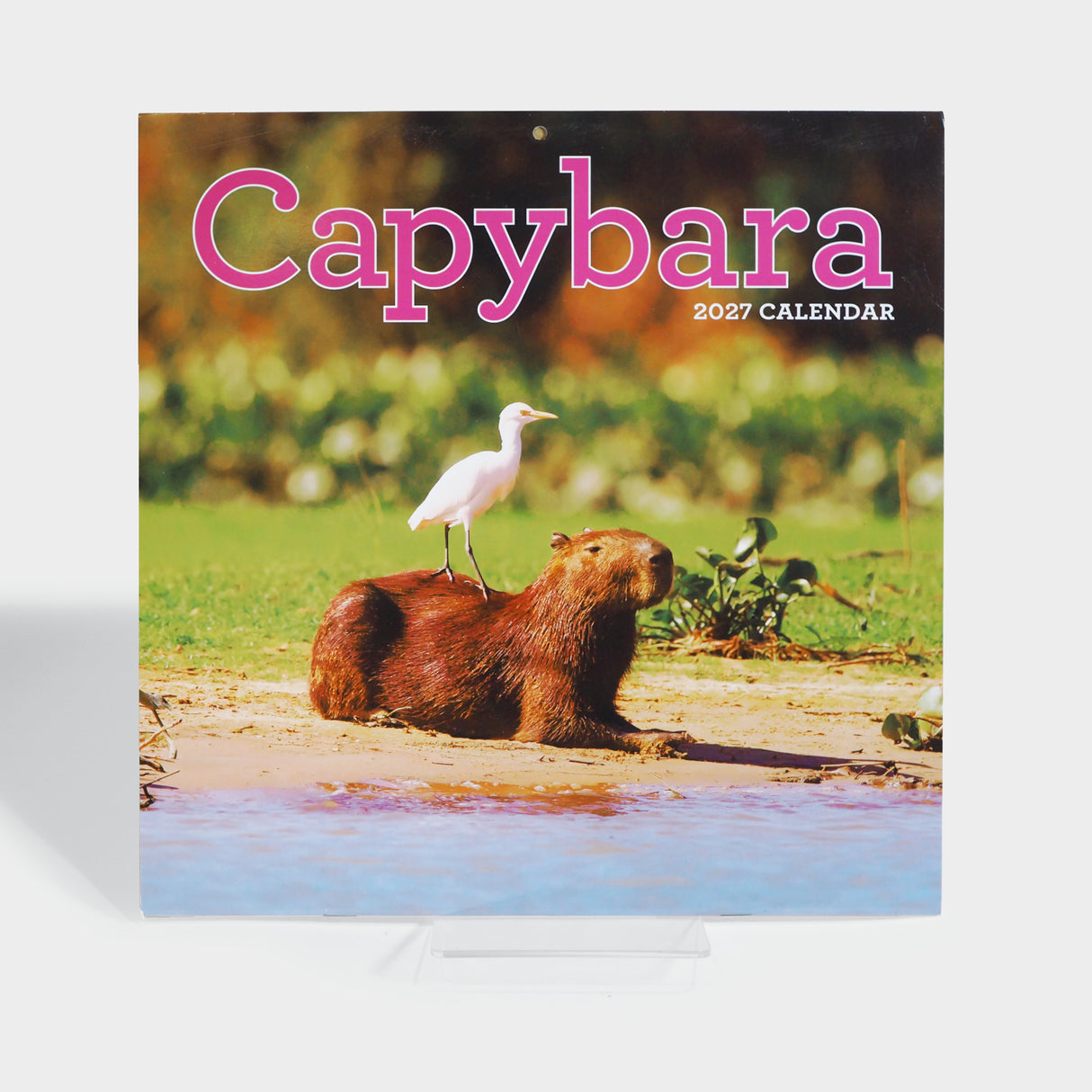 Capybara Wall Calendar 2027