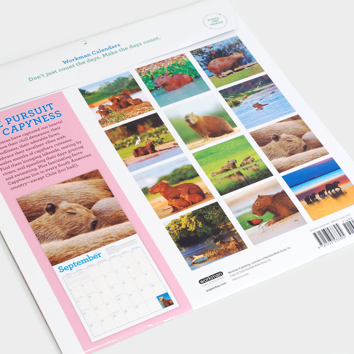Capybara Wall Calendar 2027