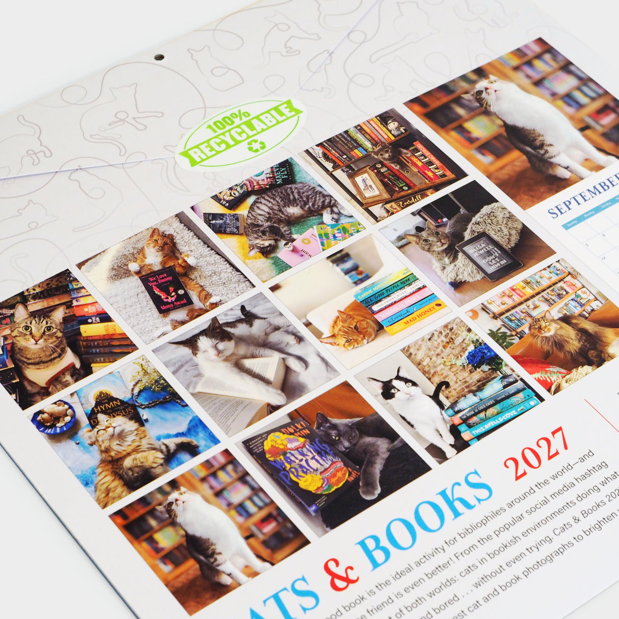 Cats & Books 2027 Wall Calendar