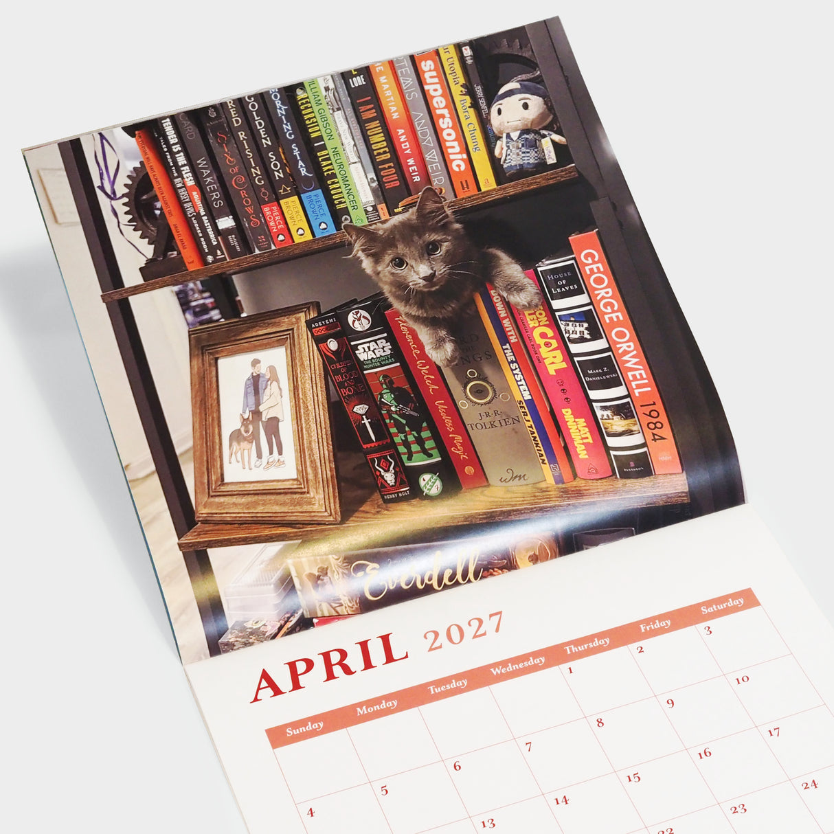 Cats & Books 2027 Wall Calendar