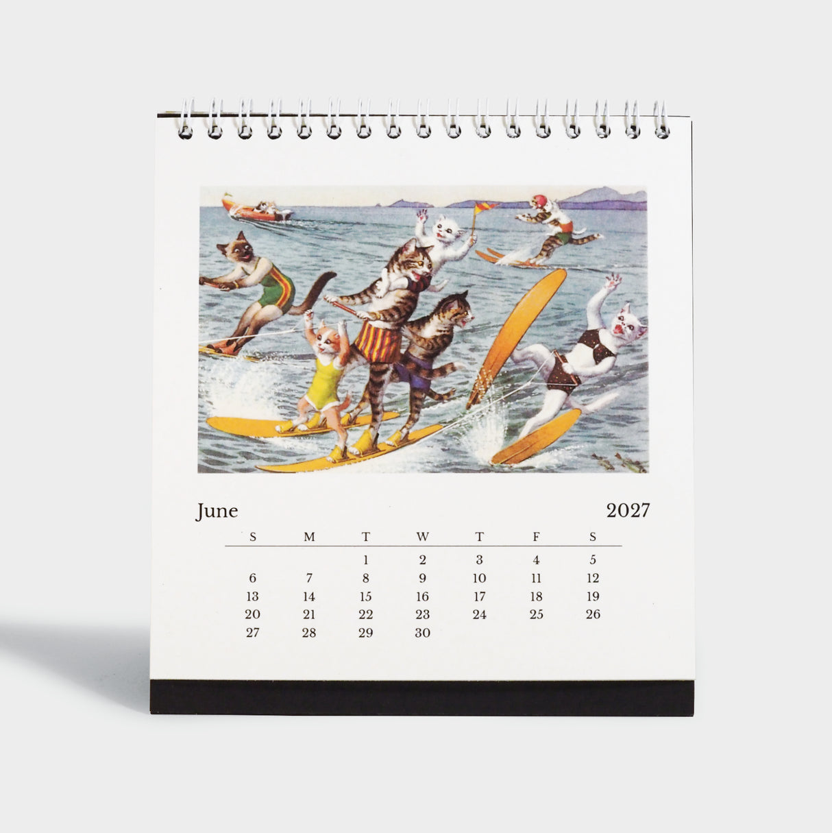Crazy Cats! 2027 Easel Desk Calendar