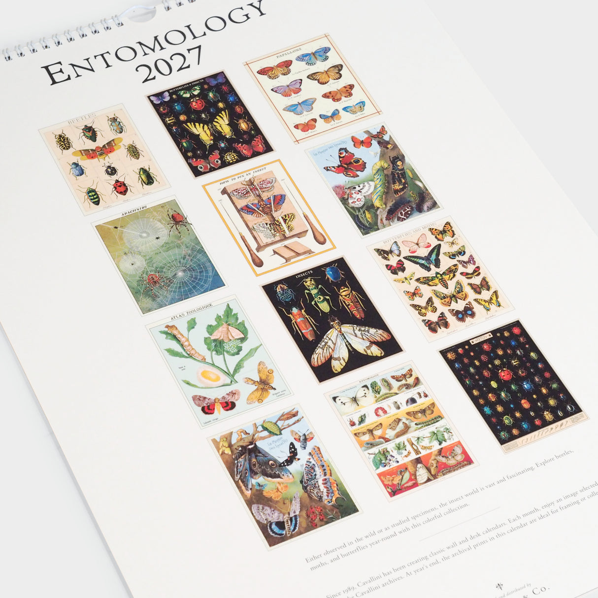 2027 Entomology Wall Calendar