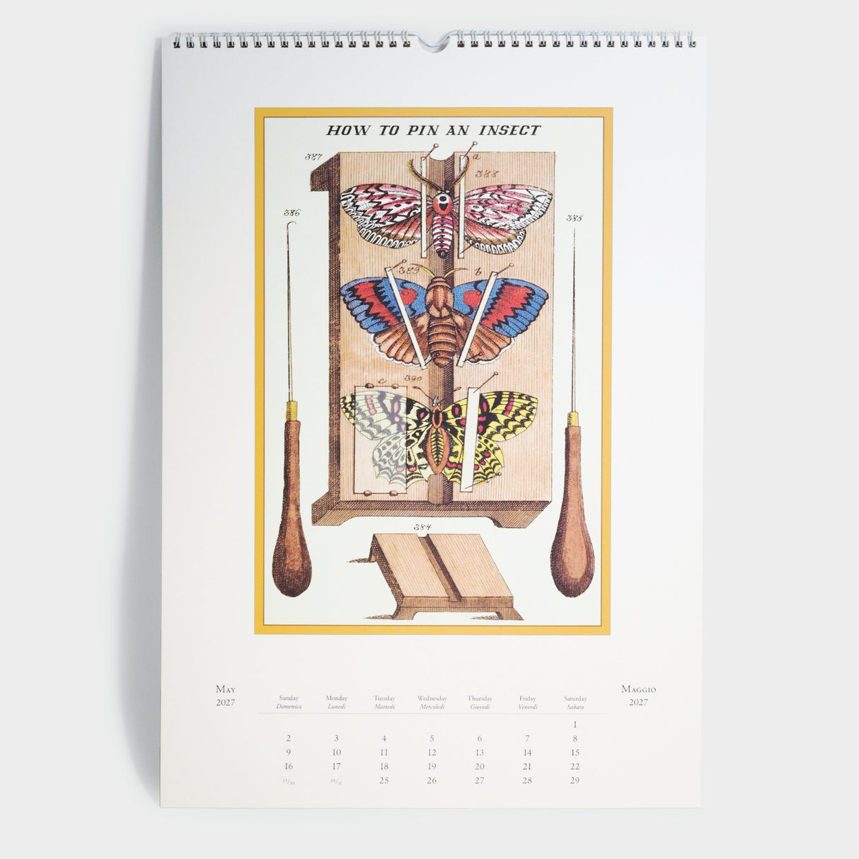 2027 Entomology Wall Calendar