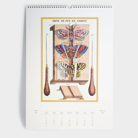 2027 Entomology Wall Calendar