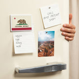 California State Flag Magnet