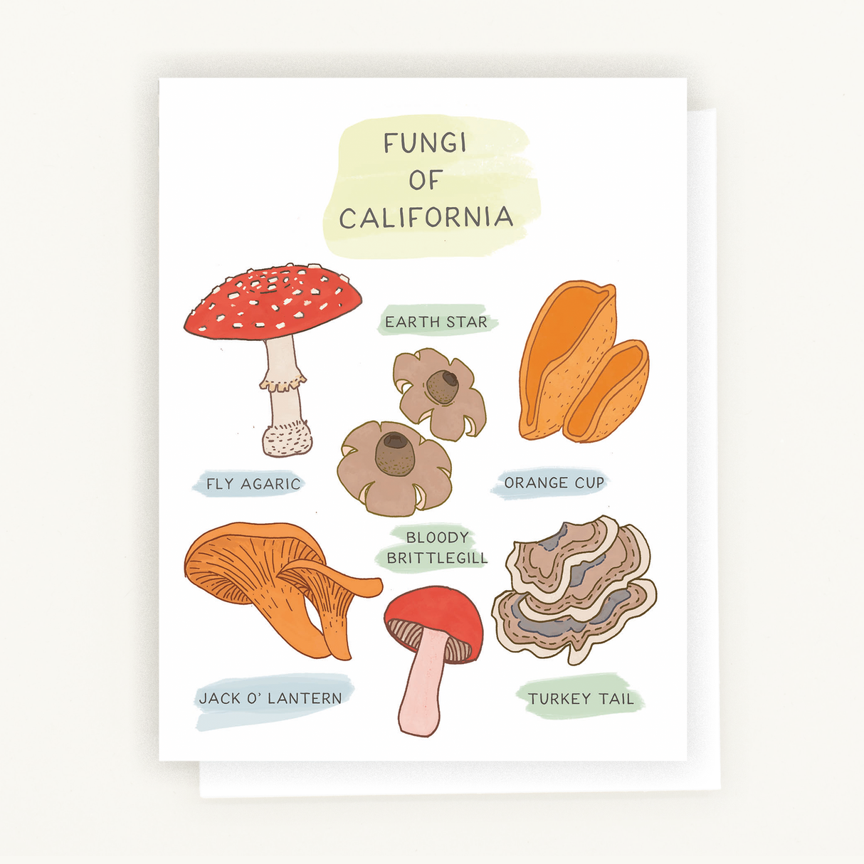 Everyday Card - Fungi of California - Blank Inside