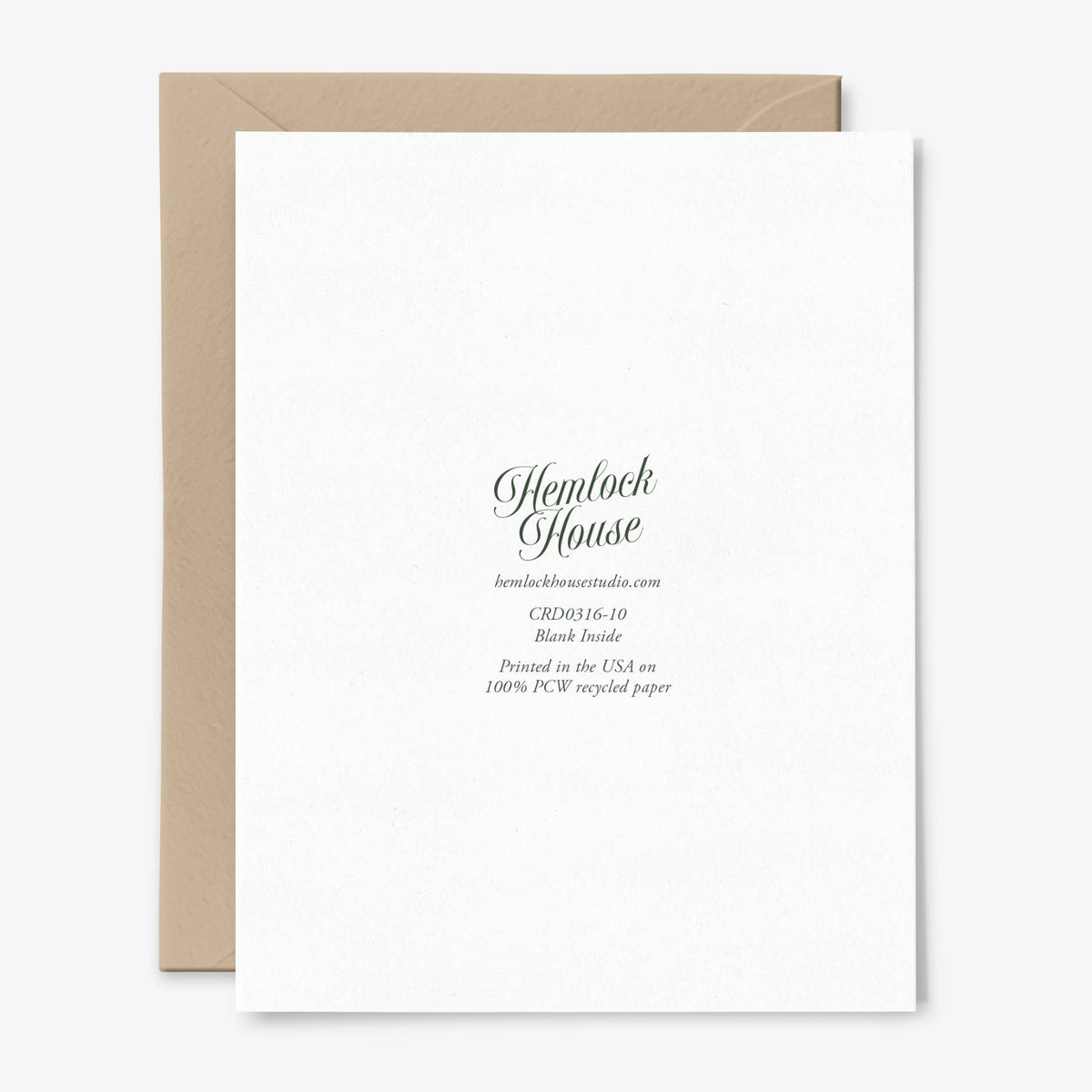 Merry Christmas Mushroom Card | Fungi | Holidays | Botanical
