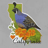 California State Matte Mirror PVC-Free Sticker