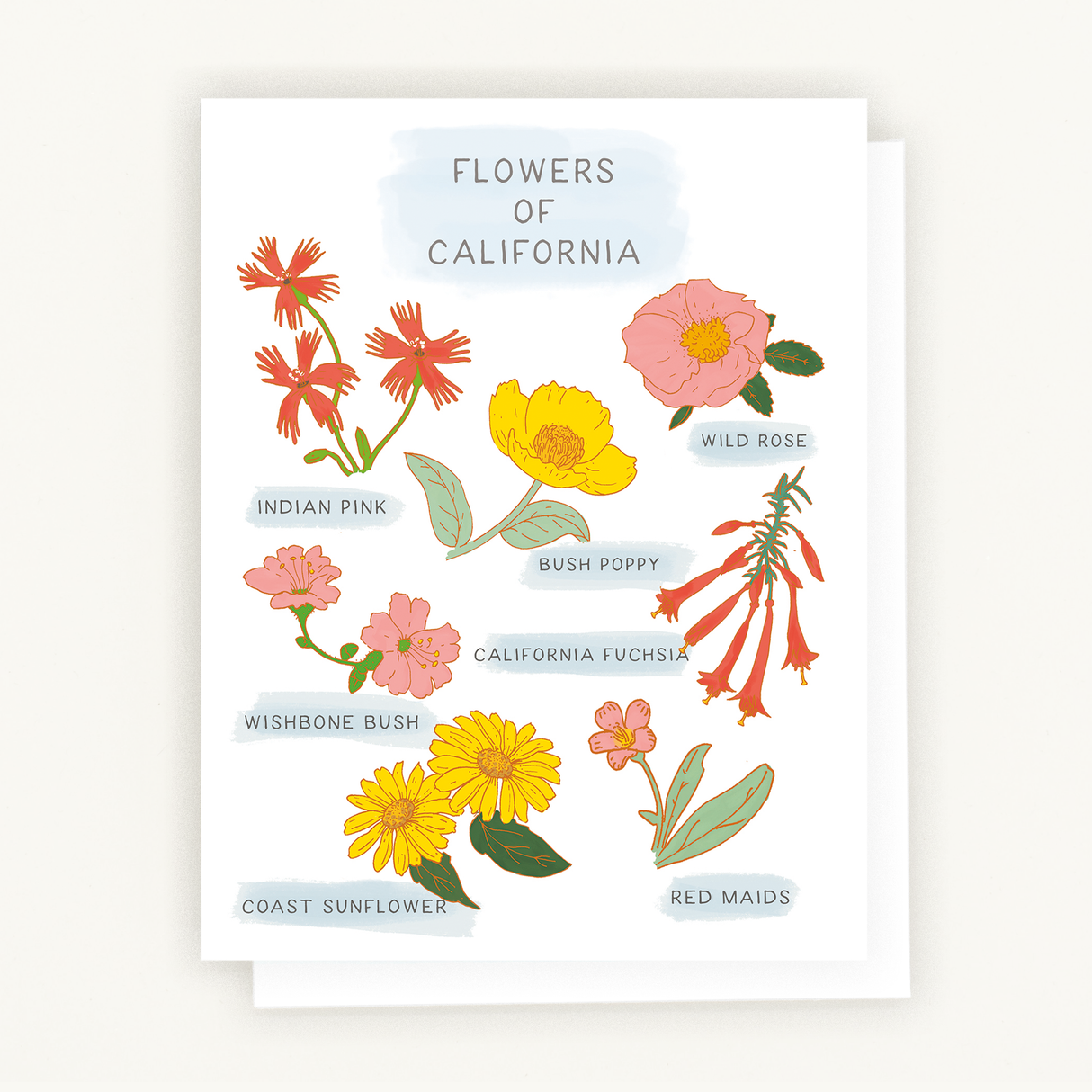 Floral Everyday Greeting Card – California Wildflowers