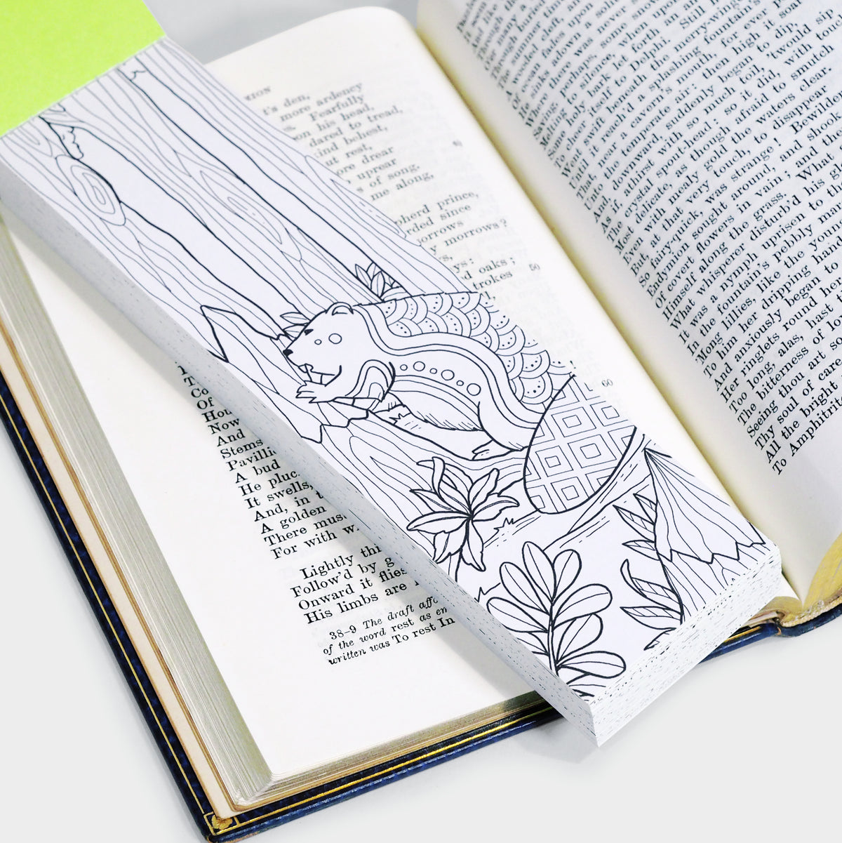Animals Coloring Bookmarks