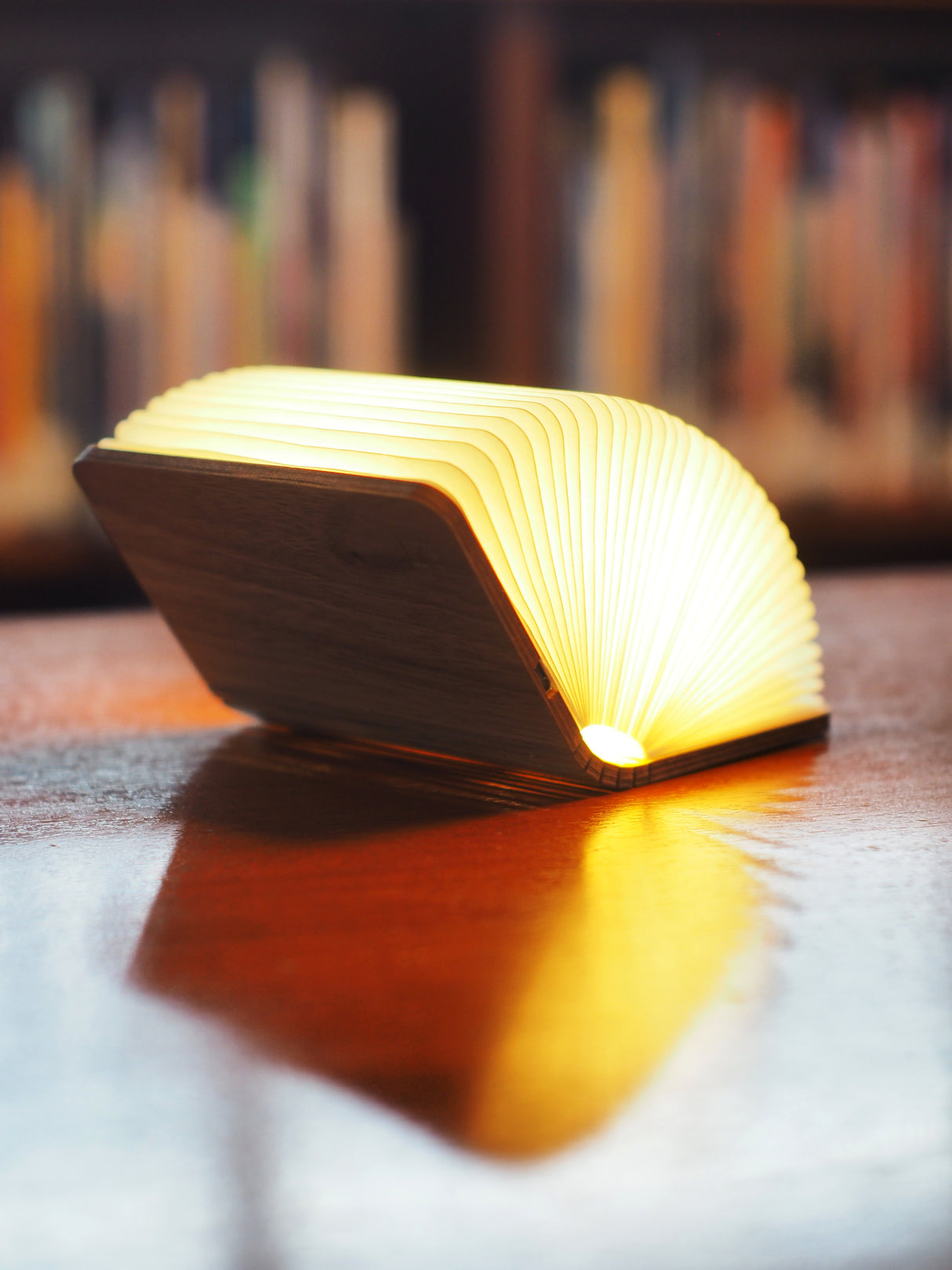 Mini Smart Book Light