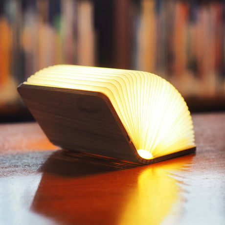 Mini Smart Book Light