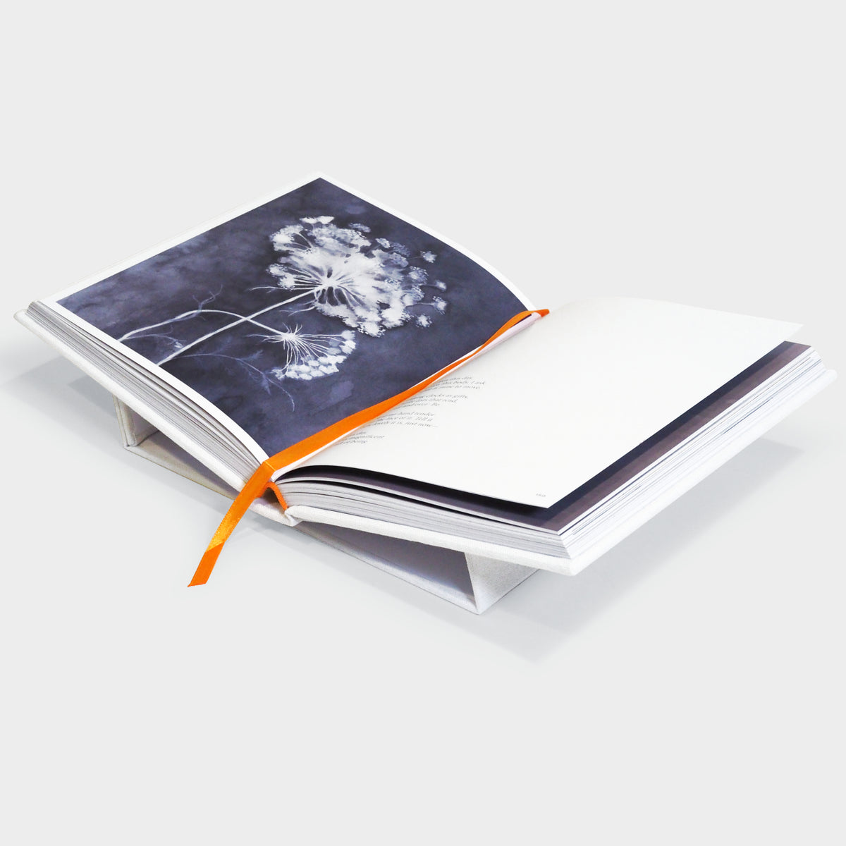 The Book of Thanks: A Catalogue of Gratitudes