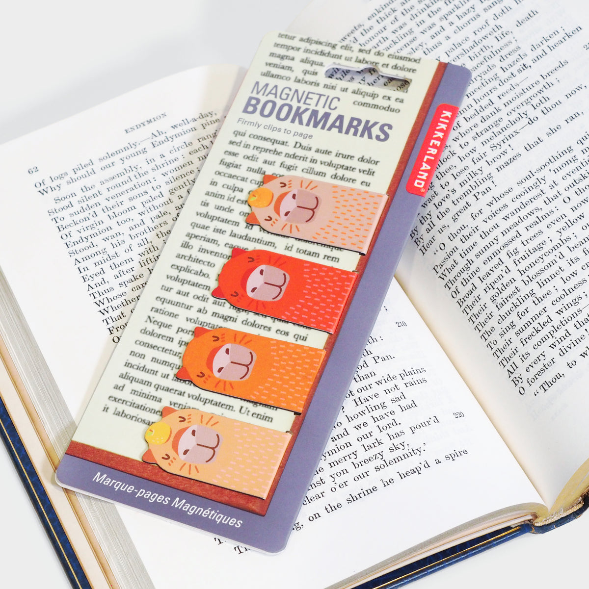 Capybara Magnetic Bookmarks