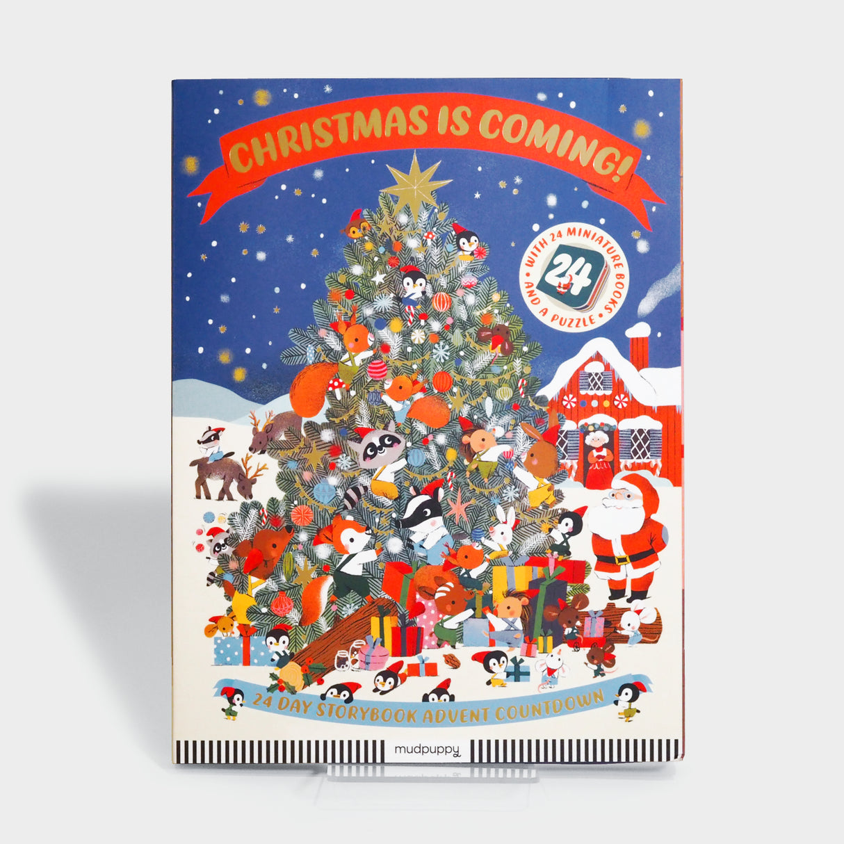 Christmas Is Coming! 24 Day Storybook Advent Countdown