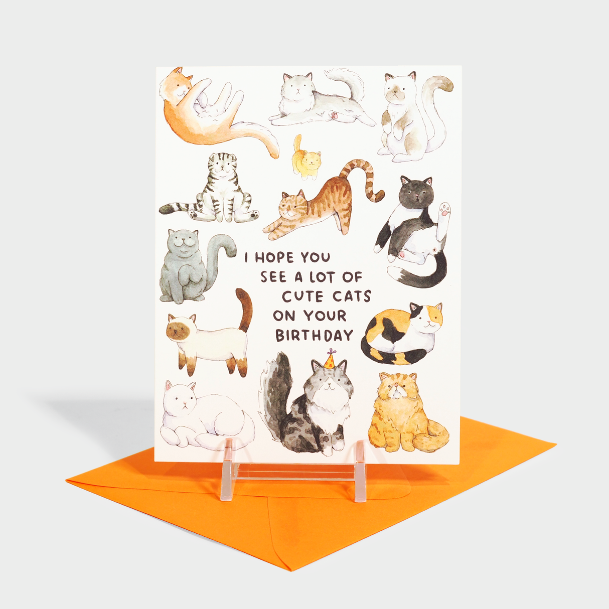 Cute Cats Birthday Card