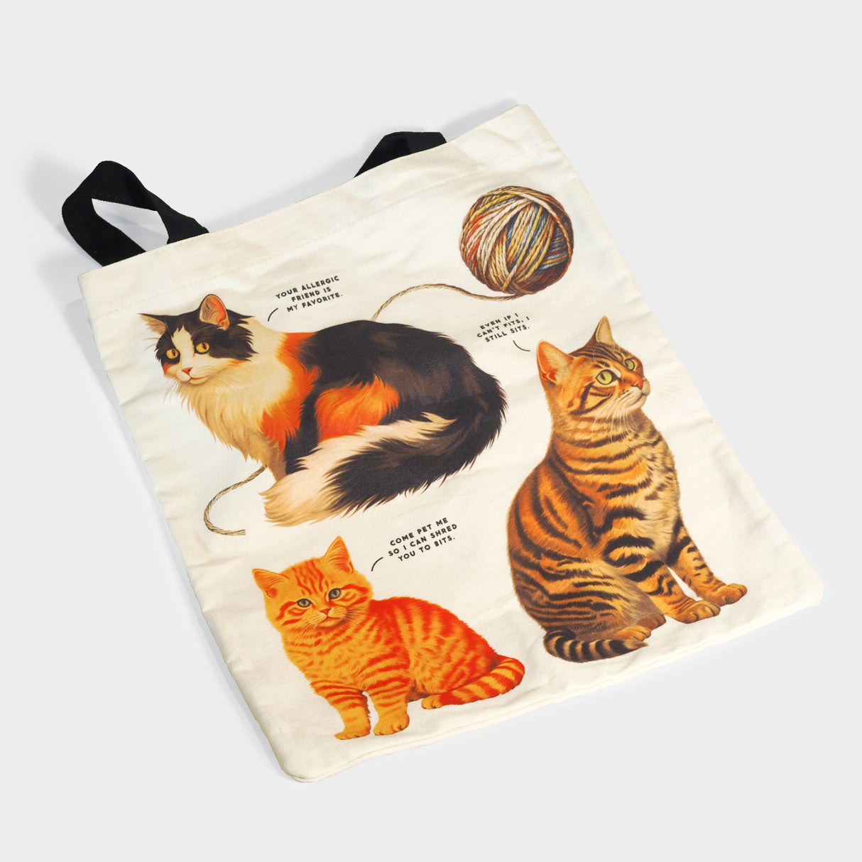 Moody Cats Canvas Tote Bag