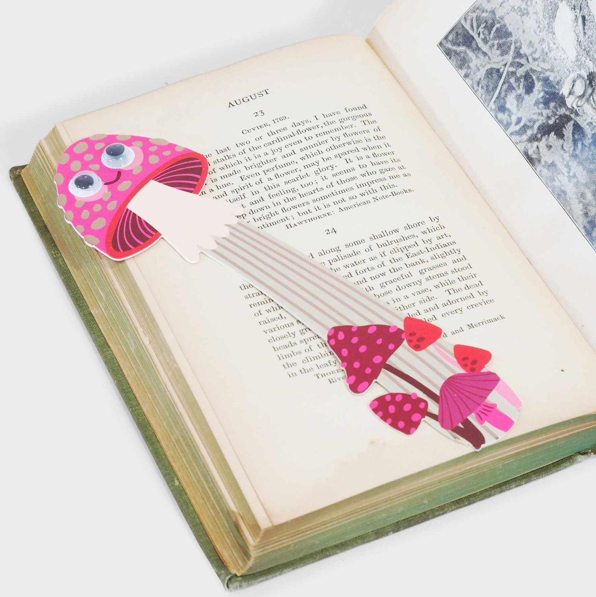 Mushroom Majesty Bookmark
