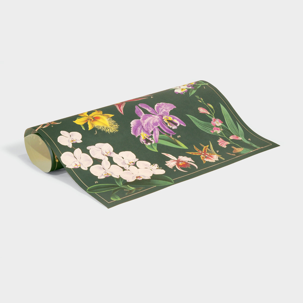 Orchid Single Gift Wrap Sheet