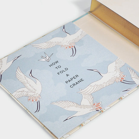 Paper Crane a Day