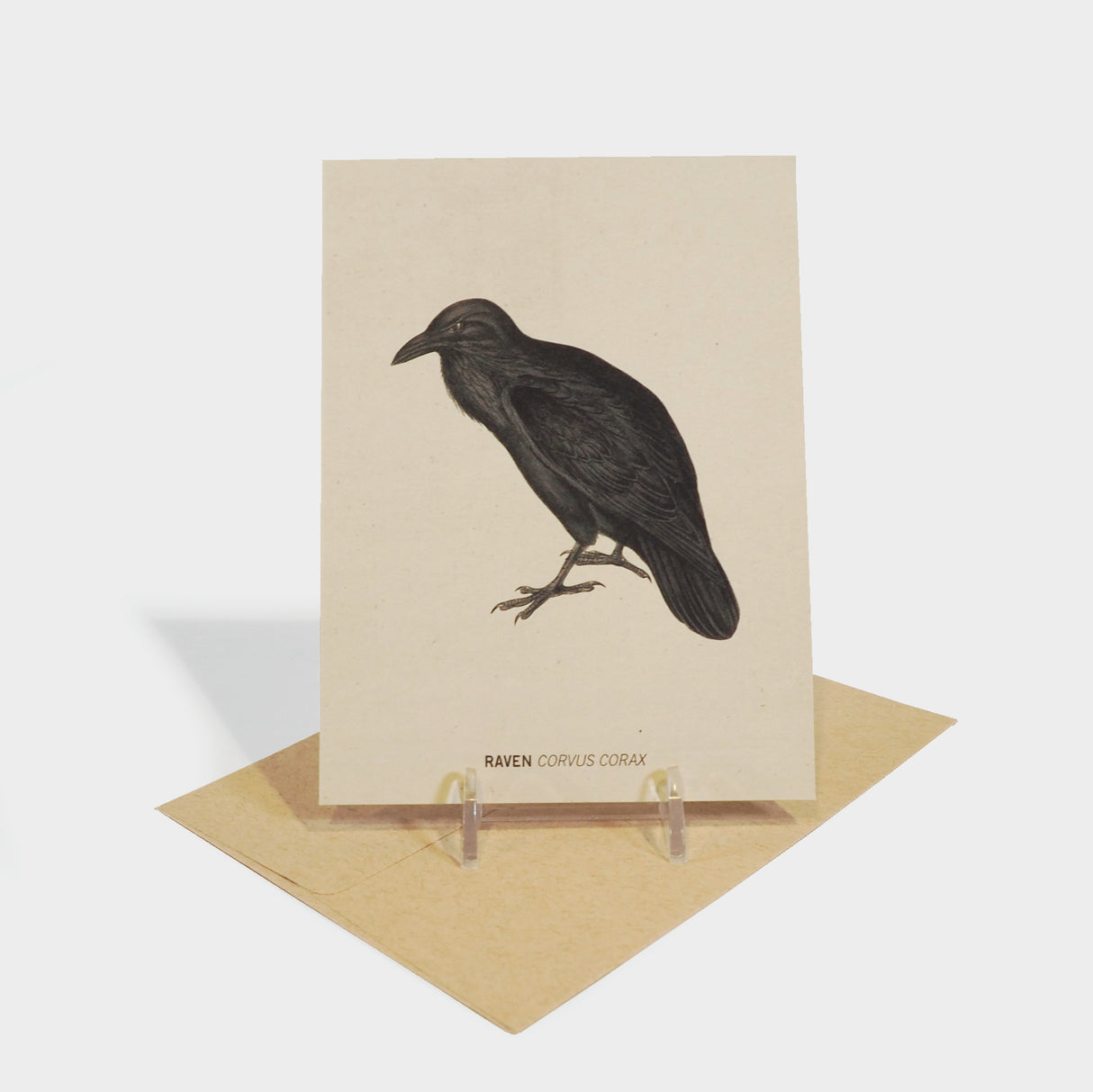 Raven Greeting Card