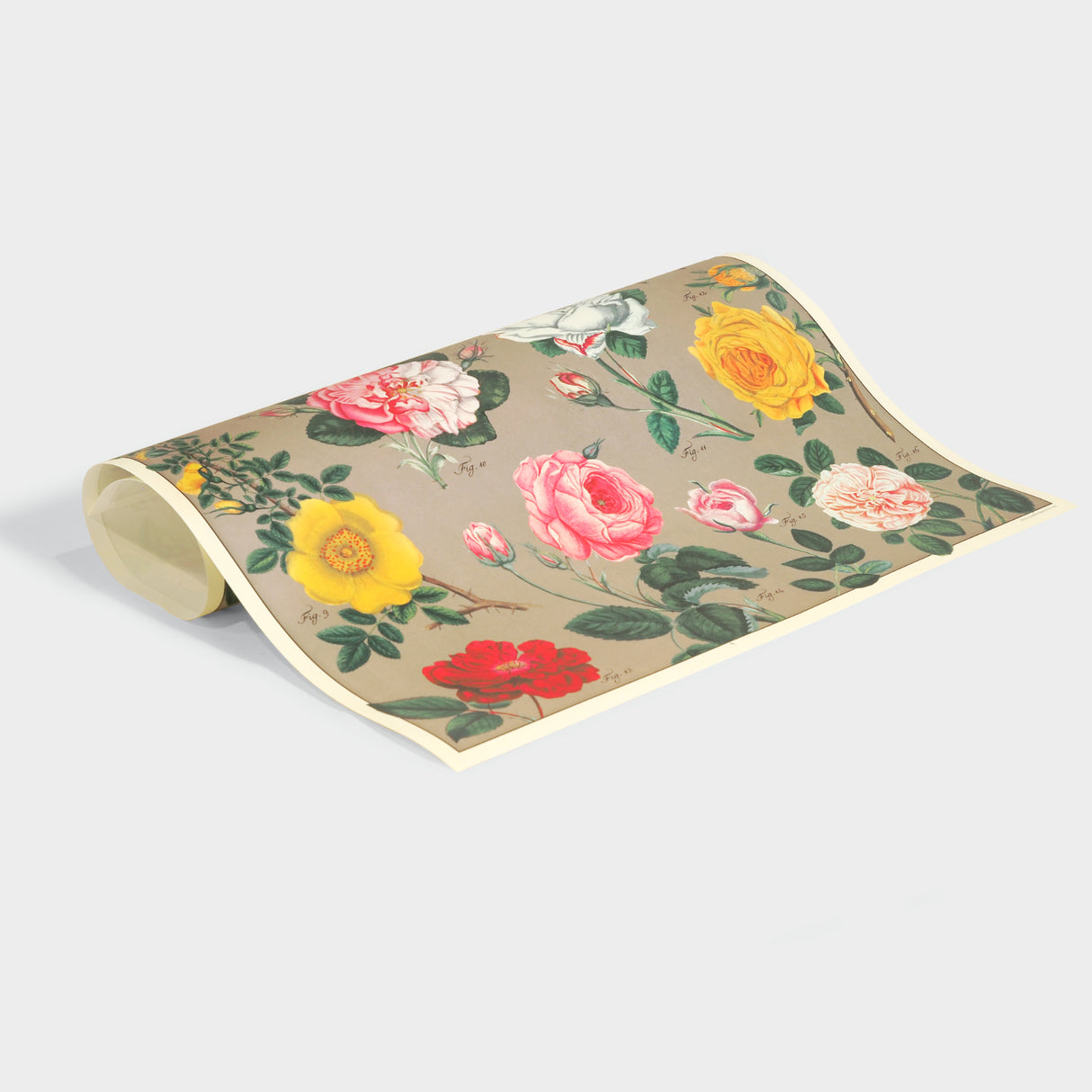 Roses Gift Wrap Single Sheet