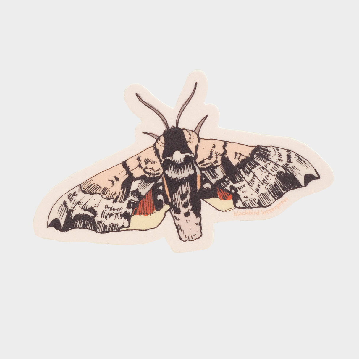Sphinx Moth Sticker