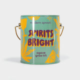 Spirits Bright Agave Grow Kit