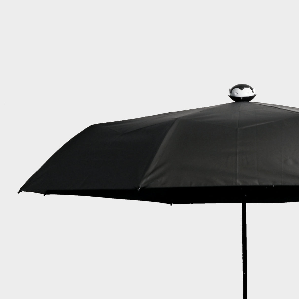 Spookula Umbrella