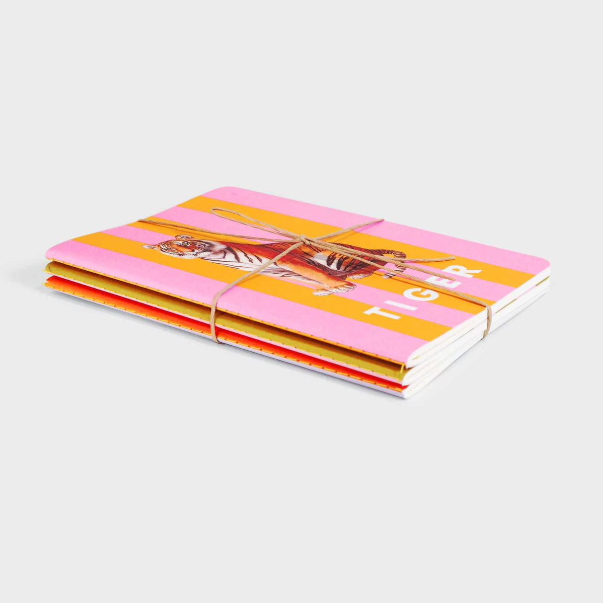 Striped Lion Zebra Elephant Stitched Notebook Set