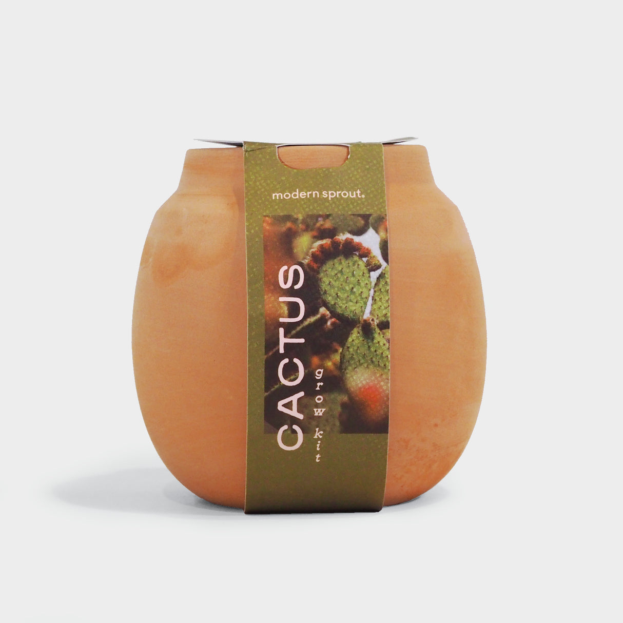Terracotta Cactus Grow Kit