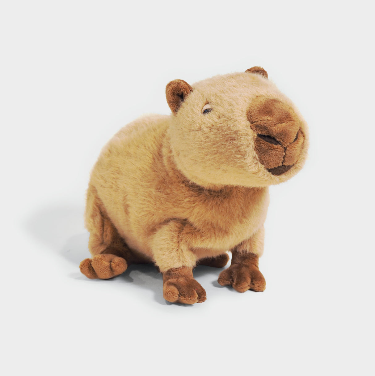 Theo Capybara