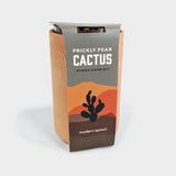 Cactus Terracotta Kit